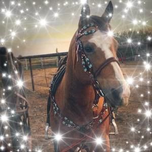 Meet your Posher, Jen